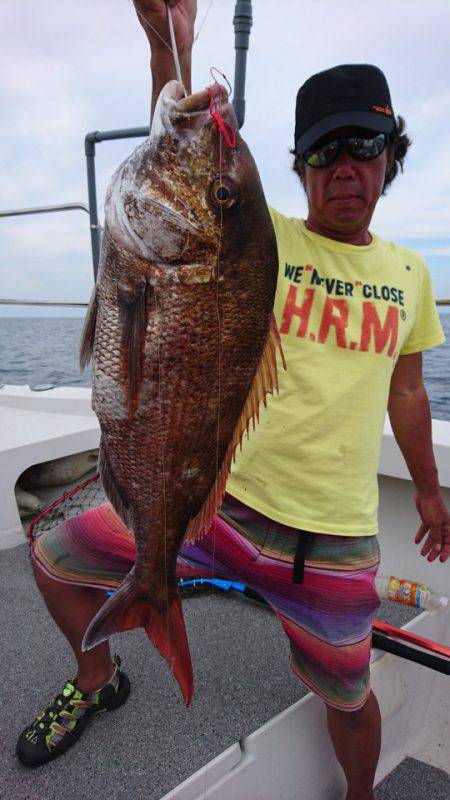 ARCADIAⅡ (アルカディアⅡ) 釣果