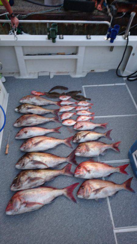 ARCADIAⅡ （アルカディアⅡ） 釣果…