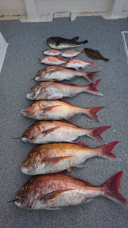 ARCADIAⅡ （アルカディアⅡ） 釣果…