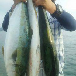 サンマリン 釣果