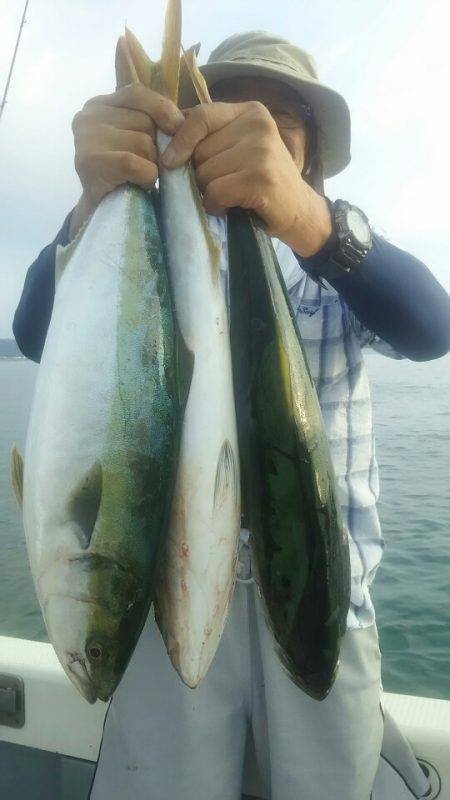 サンマリン 釣果