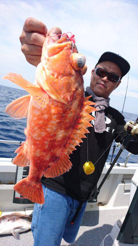 ARCADIAⅡ (アルカディアⅡ) 釣果