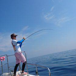 ARCADIAⅡ (アルカディアⅡ) 釣果