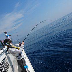 ARCADIAⅡ (アルカディアⅡ) 釣果