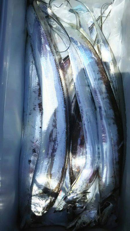 サンマリン 釣果