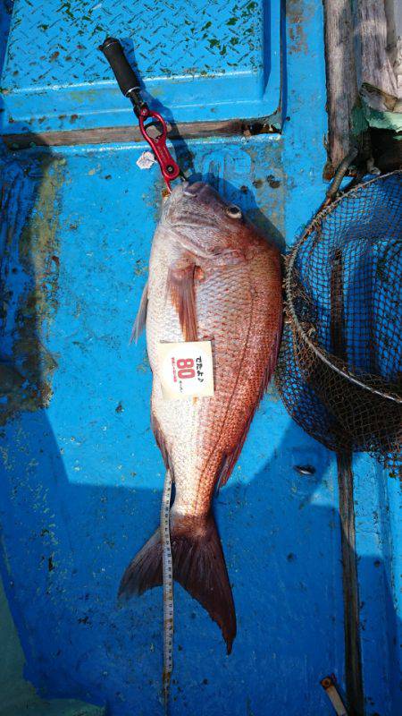 だて丸 釣果