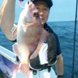新幸丸 釣果
