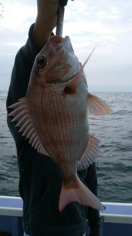 新幸丸 釣果