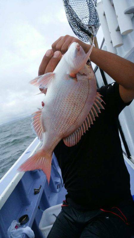 新幸丸 釣果