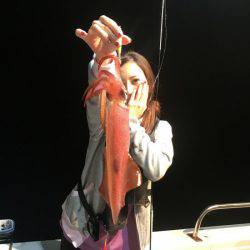 South Current 釣果