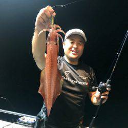 South Current 釣果