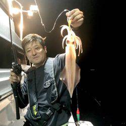 South Current 釣果