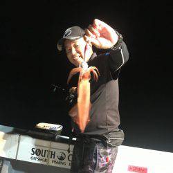 South Current 釣果