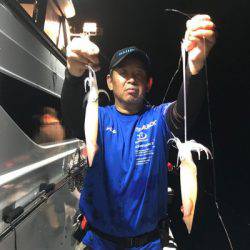 South Current 釣果