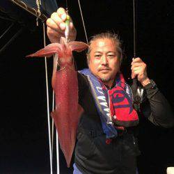 South Current 釣果