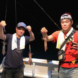 South Current 釣果