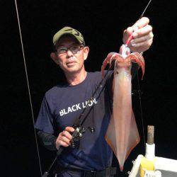 South Current 釣果