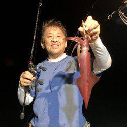 South Current 釣果