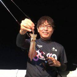 South Current 釣果