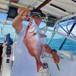 Big One　ビッグワン 釣果