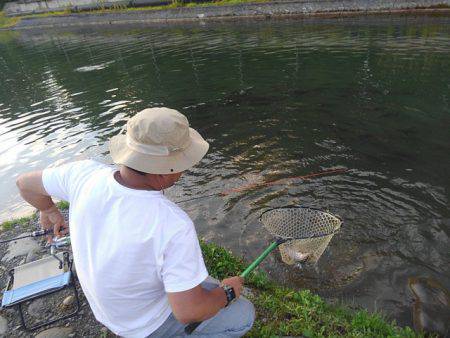つりぼりあかし 釣果