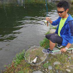 つりぼりあかし 釣果