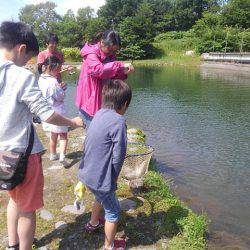 つりぼりあかし 釣果