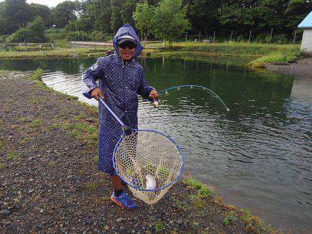 つりぼりあかし 釣果