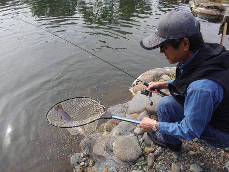 つりぼりあかし 釣果