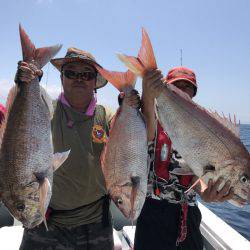 アマテラス 釣果