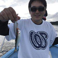 アマテラス 釣果