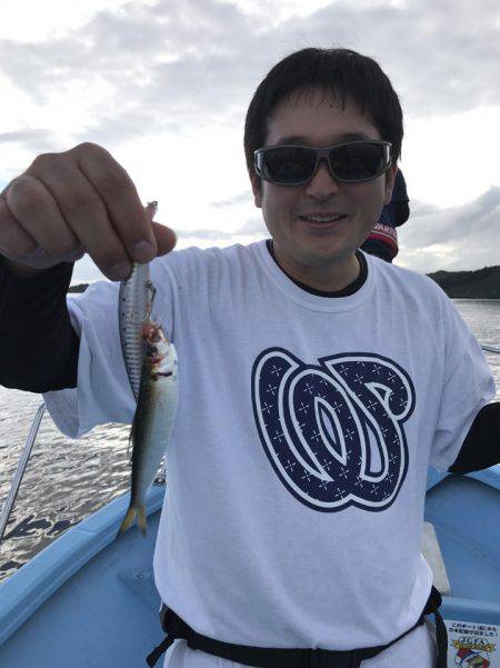 アマテラス 釣果