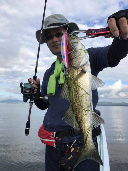 アマテラス 釣果