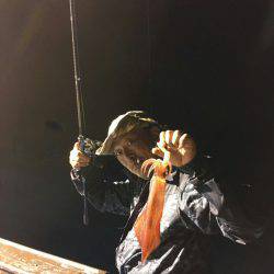 海龍丸(石川) 釣果