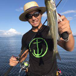 アマテラス 釣果