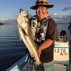 アマテラス 釣果