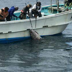光翔丸 釣果