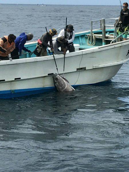 光翔丸 釣果