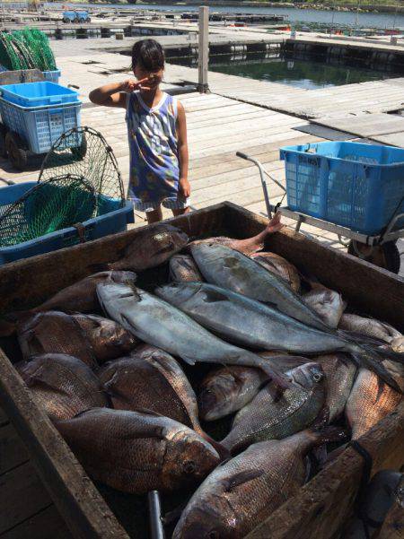 海の釣堀 海恵 釣果