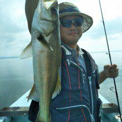 アマテラス 釣果