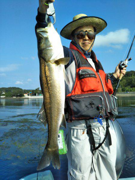 アマテラス 釣果