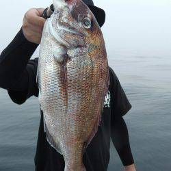 天祐丸 釣果