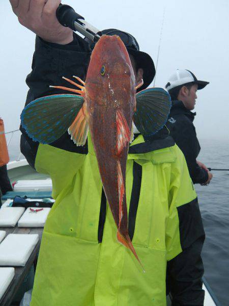 天祐丸 釣果