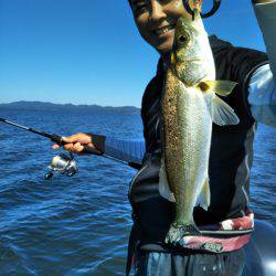 アマテラス 釣果