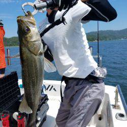 海龍丸（島根） 釣果