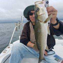 海龍丸（島根） 釣果