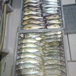 エンペラー 釣果