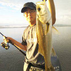 アマテラス 釣果