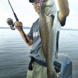 アマテラス 釣果