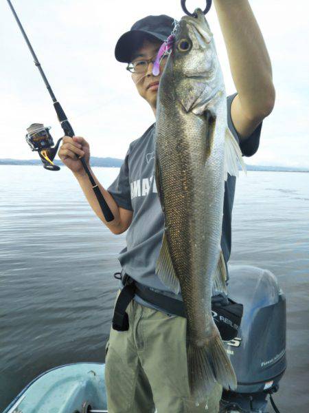 アマテラス 釣果